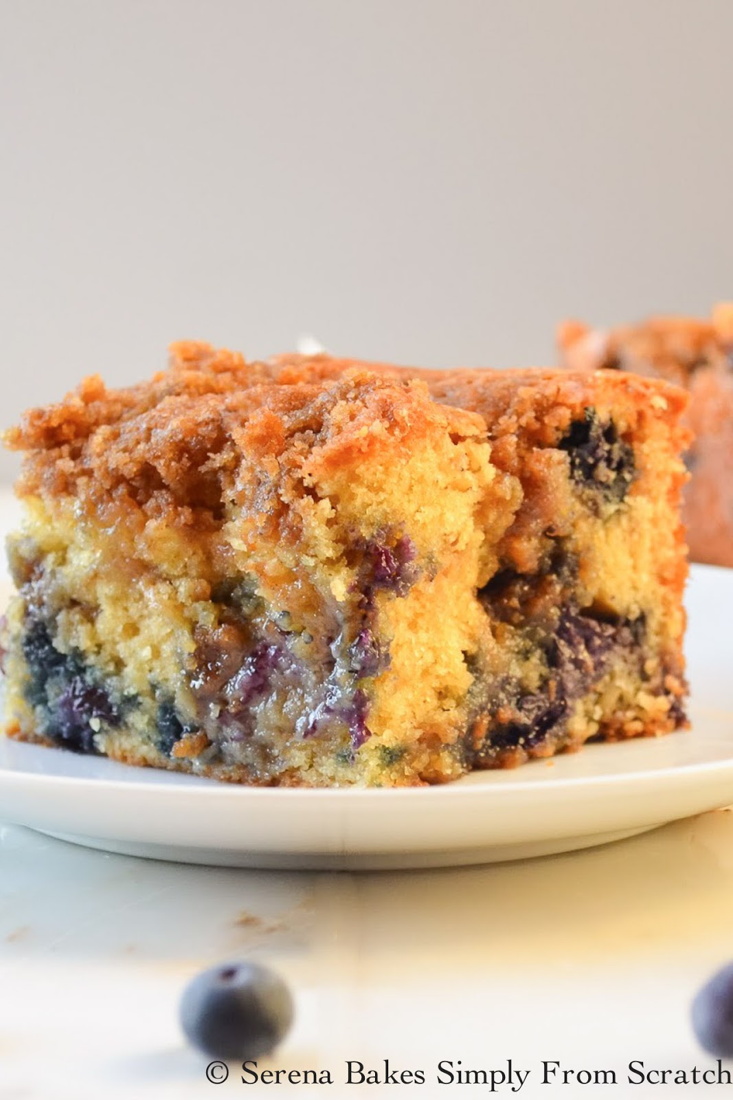 Blueberry Coffeecake Cinnamon Swirl Brown Sugar Crumb (6 of 1)